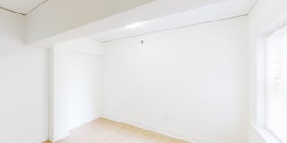 Ambassador Gallery 42