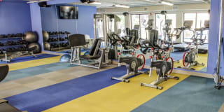 The Paxon Gallery 22