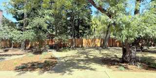 Remodeled one story home in highly desirable Alamo with huge park like yard ! Remodeled one story home in highly desirable Alamo with huge park like yard ! Gallery 33