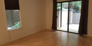 Lovely 1bd. Ground-Level Condo in Cotati Gallery 10