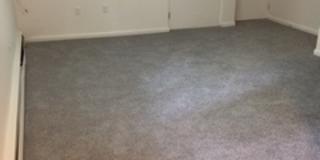 15 Piggott Road Gallery 3