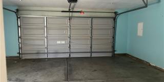 15177 Dandelion Gallery 24