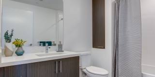 The Merian Gallery 61