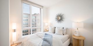 Collection 14 Gallery 7