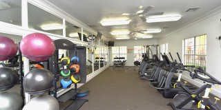 Springfield Apartments Gallery 19