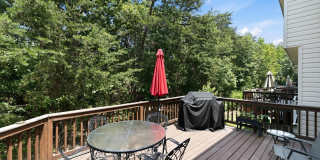 1518 DEEP GORGE CT Gallery 29