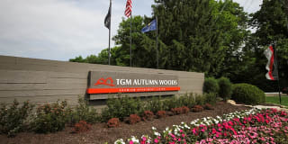 TGM Autumn Woods Gallery 16