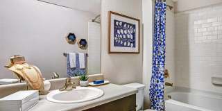 Palisade Park Gallery 11