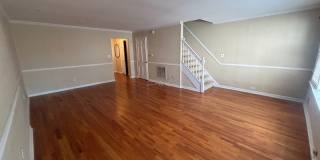 27 Marsh Hawk Gallery 1