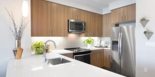 The Standard The Standard Gallery 30