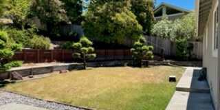 -Spacious 4 Bed 2.5 Bath, House, with Hew Hardwood Floors throughout - Gallery 30