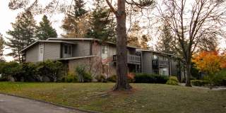 Audubon Square Gallery 30