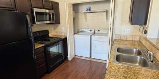 BC15556 Gallery 6