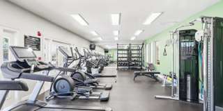 The Glen At Alexander Gallery 9