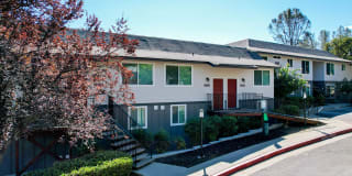 Persimmon Terrace Gallery 2