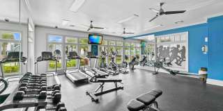 The Haven at West Melbourne Gallery 4