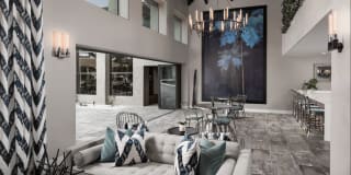 Elite North Scottsdale Gallery 7