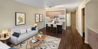 Elm Row Gallery 15