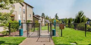 Norland Trails Gallery 26
