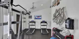 The Modern Gallery 41