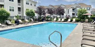 Morgan's Bluff Gallery 11