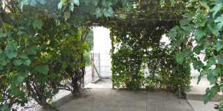 Charming Old North End Rancher Gallery 32