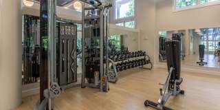 Magnolia at Milton Gallery 6