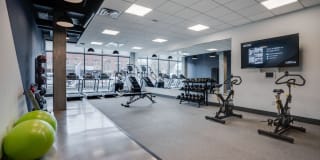 The Grove Gallery 31