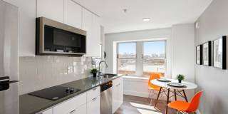 Netherland Gallery 4