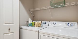 Sofi at Murrayhill Gallery 8