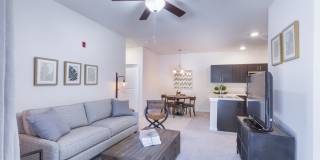 Aventura at Towne Centre Gallery 20