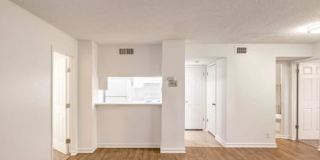 8602 Cinnamon Creek Dr, #610 Gallery 1