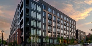 Alexan Florence Gallery 52