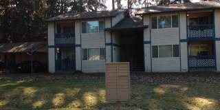 South Hill Apartments Gallery 8
