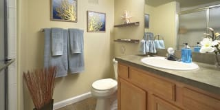 Madison Park Gallery 11