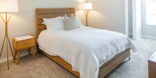 Killarney Woods Gallery 4