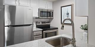 Solas Glendale Gallery 10