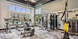 Virtuo Spring Gallery 12