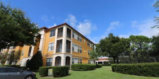 6171 Metrowest Boulevard #206 - 206 Gallery 4