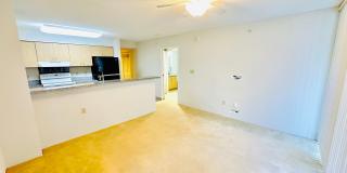 Diamond in the rough 1 bedroom with den in Honolulu! Gallery 6