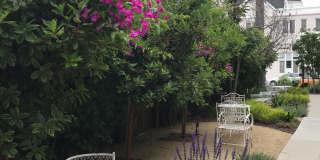 Chateau Louise Gallery 5