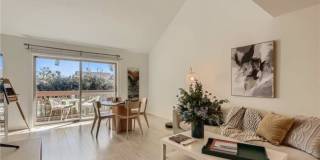 207 Orange Blossom # 23 Gallery 1
