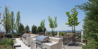 The Silva Gallery 25