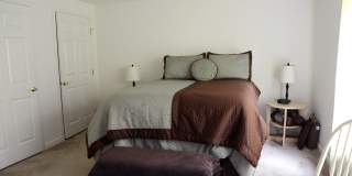 Chestnut Hill East Gallery 24