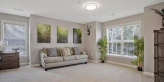 12902 CRICKMORE Trace Gallery 34
