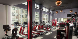 Gallery at Domain Gallery 37