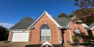 7849 Collins Wood Cove Gallery 1