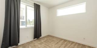 258 Sash Gallery 4