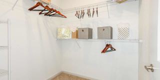 Venetian Isle Gallery 39