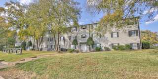 Solana at Brentwood Gallery 19